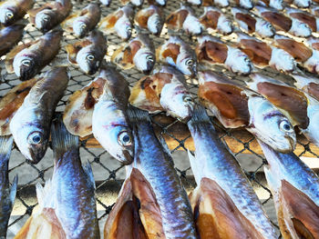 Full frame shot of fish for sale in market