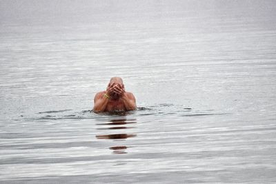 Bird in water