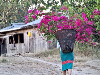 Flowers and woman at bandarban