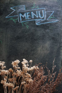 Close-up of text on the ground