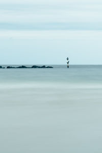 Person on sea against sky