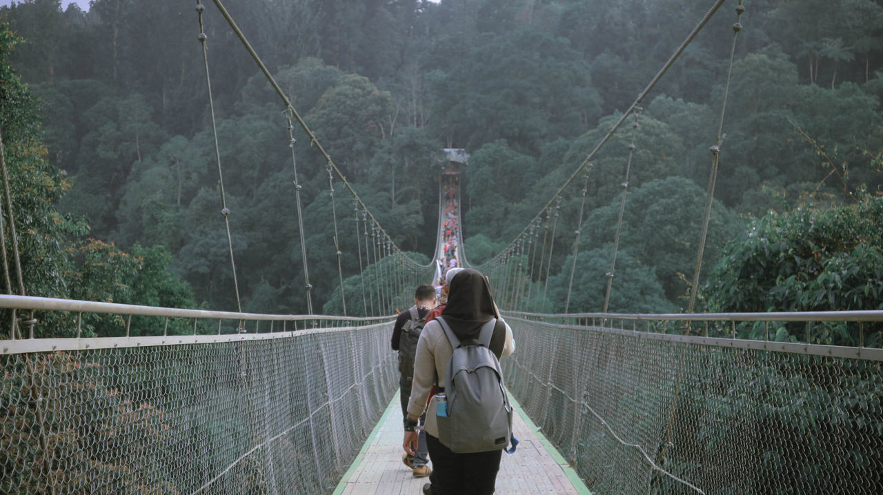 PEOPLE ON FOOTBRIDGE IN FOREST