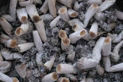 Full frame shot of cigarettes in ashtray