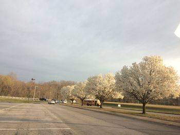 Road passing through trees