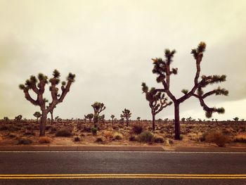 Road passing through landscape