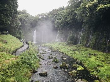 Scenic view of waterfall amidst trees in forest