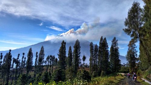 Panoramic view of trees and mountains against sky