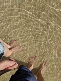 Low section of people on beach