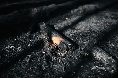 Close-up of fire on wood