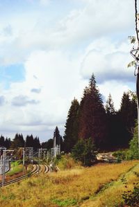 Trees on field against cloudy sky
