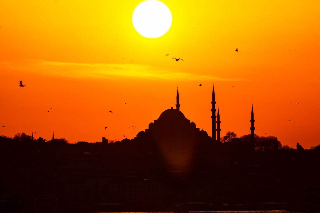 SILHOUETTE BIRDS FLYING AGAINST ORANGE SKY