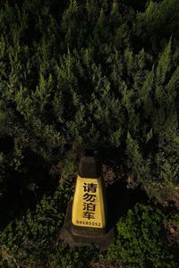 High angle view of information sign on trees in forest