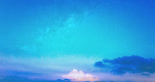Low angle view of trees against blue sky