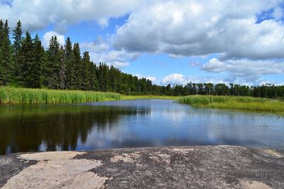 Scenic view of lake in forest against sky