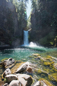 Scenic view of waterfall in forest