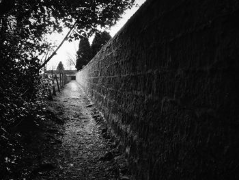 Walkway amidst trees against sky