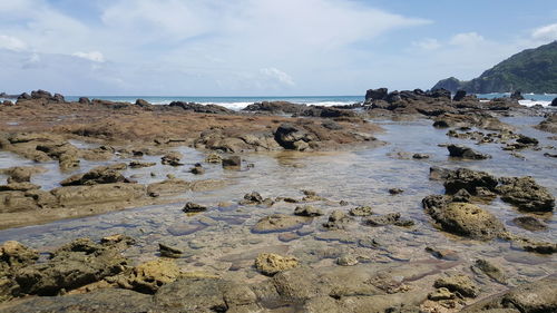 Scenic view of beach against sky