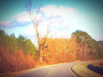 Road amidst trees against sky