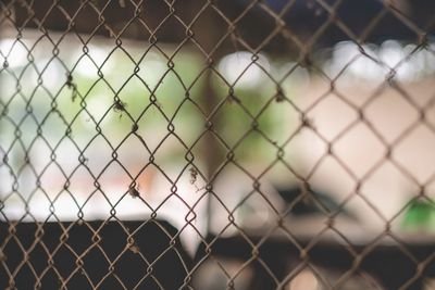 Close-up of chainlink fence