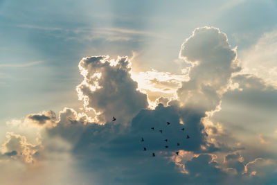 Evening scene sunset with towering cumulus clouds and a flock of birds in the foreground.