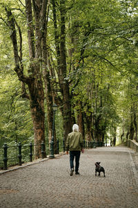 Rear view of man with dog walking on footpath in park