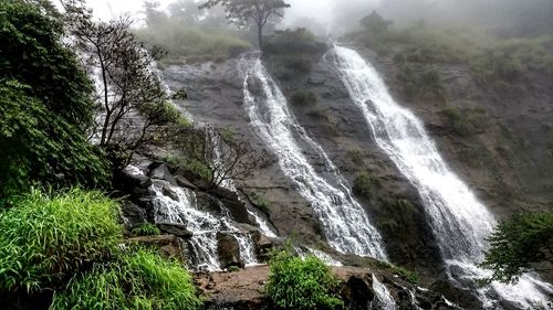 Scenic view of waterfall in forest