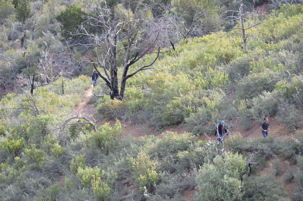 TOURISTS IN FOREST