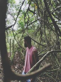 tree