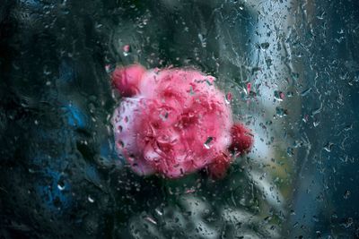 Close-up of water drops on pink underwater