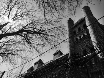 Low angle view of tree and buildings against sky