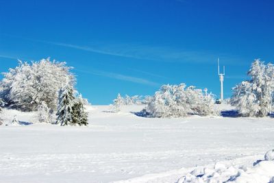 Scenic view of snow covered landscape