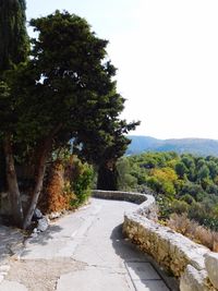 Footpath amidst trees against clear sky