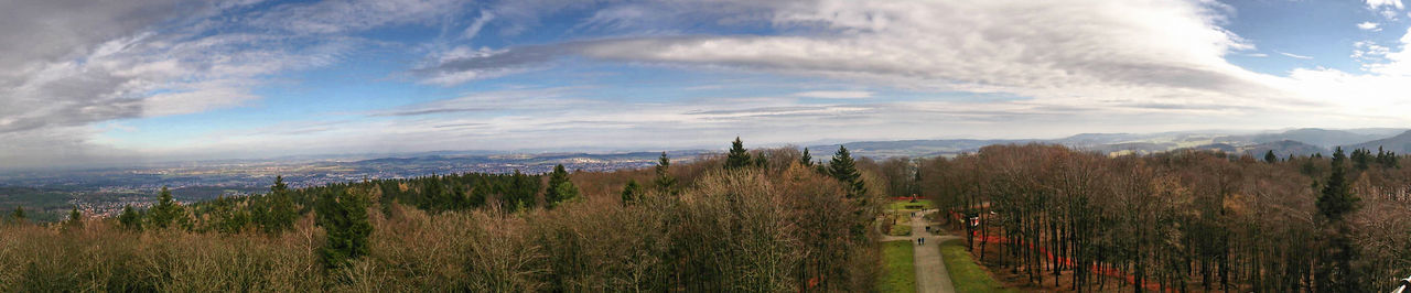 Panoramic shot of grass against sky