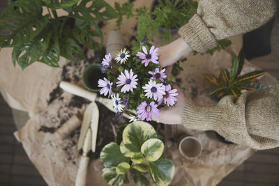 Woman planting flowers