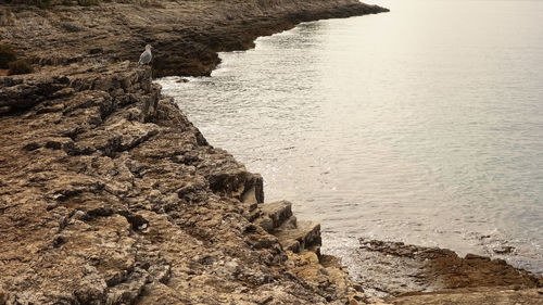High angle view of rocks on beach