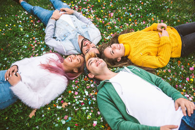 High angle view of cheerful friends lying down on grass outdoors