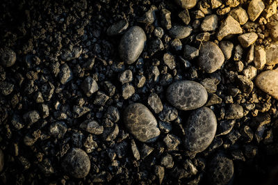 High angle view of stones