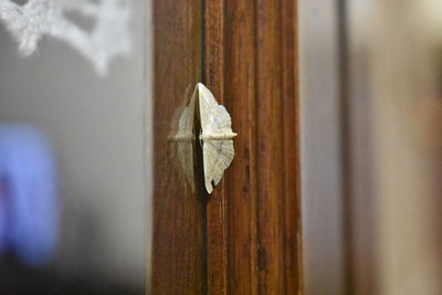 Close-up of metal door on wall