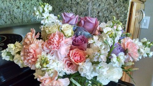 Close-up of rose blooming outdoors