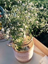 High angle view of potted plant on table