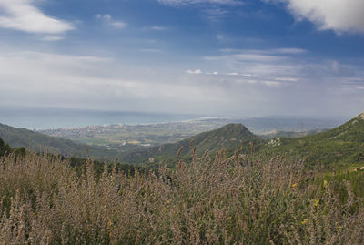 Scenic view of landscape against sky