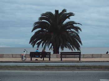 People sitting on road by palm tree against sky