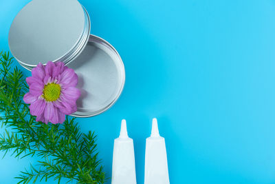 High angle view of white flower on table against blue background