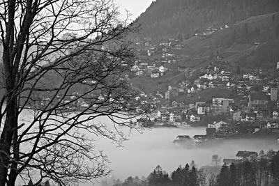 Aerial view of trees and mountains against sky