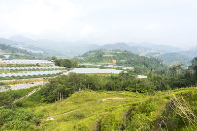 Scenic view of agricultural landscape against sky