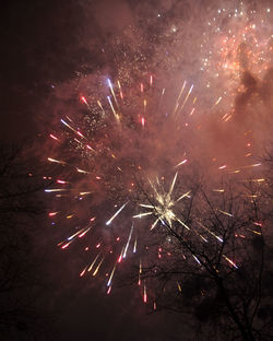 Low angle view of firework display at night