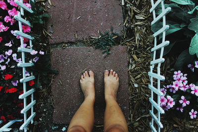 Low section of woman standing on footpath amidst flowers