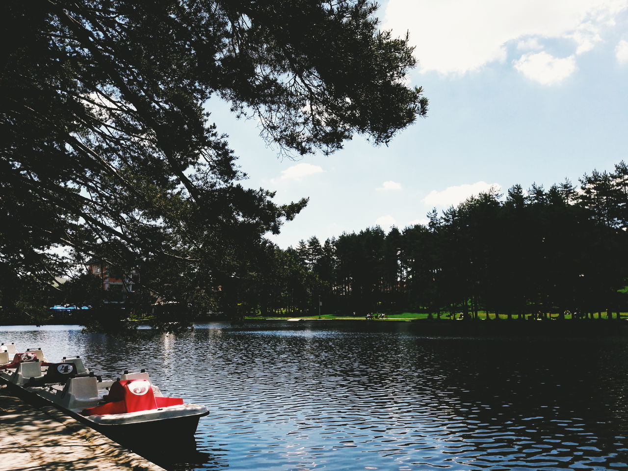 SCENIC VIEW OF LAKE