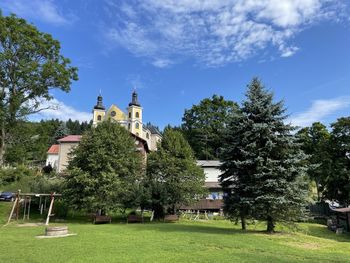 Trees and buildings against sky