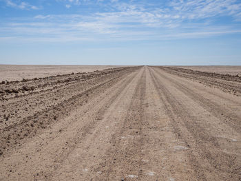 Tire tracks on agricultural landscape against sky